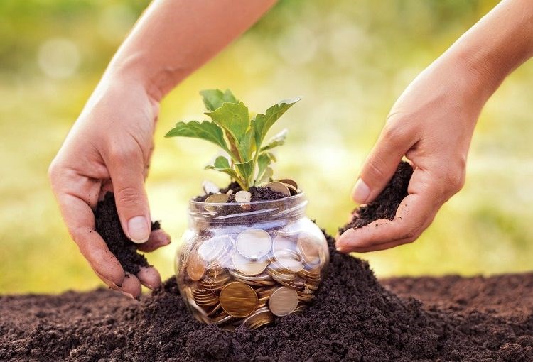 Nghị quyết Quy định mức miễn, giảm tiền thuê đất đối với cơ sở thực hiện xã hội hóa và dự án phi lợi nhuận trên địa bàn thành phố Hải Phòng